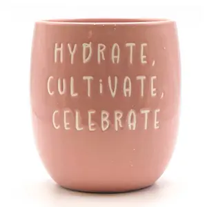 Set of 3 Pink Slogan Ceramic Planters with Tray