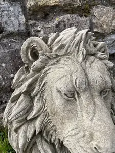 Large Lion Head Bust Hanging Plaque Stone African Animal Outdoor Garden Ornament