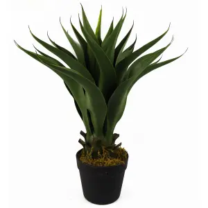 55cm Artificial Tropical Yucca Plant