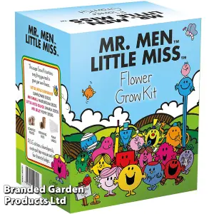 Mr Men Seed Grow Kit - Flower Seed x 1 - Ideal Gift