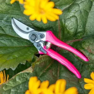 Burgon & Ball Flora brite Pink Bypass Secateurs