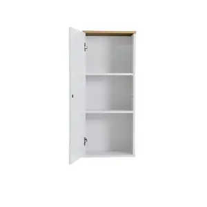 Zoraida 37cm x 21cm Wall Mounted Cabinet