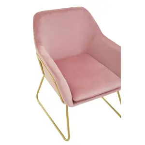 Interiors by Premier Functional Pink Velvet Bushed Gold ArmChair, Cozy Desk Chair Pink Velvet, Easy to Clean Pink Velvet Chair