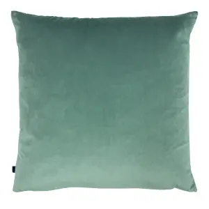 Ashley Wilde Jaden Velvet Feather Filled Cushion