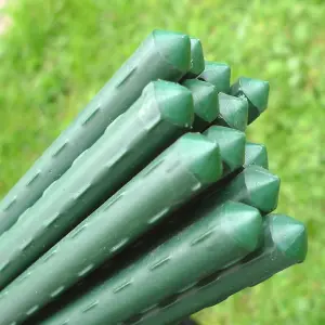 GardenSkill 11mm Dia Plant Stake & Tomato Support Garden Canes 1.2m L x 50 Rods