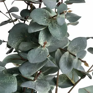 UK Homeliving Variegated Eucalyptus