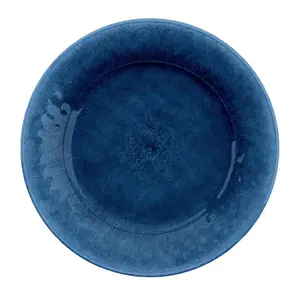 Purely Home Potters Reactive Glaze Indigo Melamine Dinner Plates - Set of 2