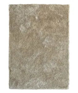 Origins Glamour Champagne Rug 80 X 150