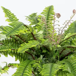 Blooming Artificial - 50cm Faux Boston Fern - Fake House Plant Green Indoor