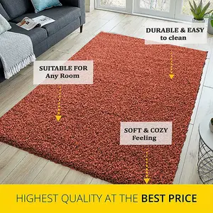 Abaseen 120x170 cm Terracotta Shaggy Rug - Soft Touch Thick Pile Modern Rugs - Washable Area Rugs for Home and Office