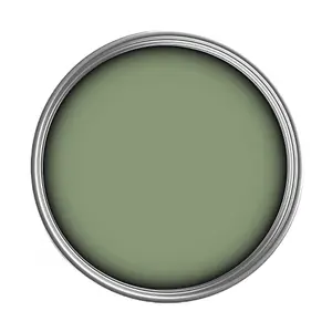 PaintNuts UPVC Door & Window Matt Paint - Pale Green - 2.5L Tin (RAL6021)