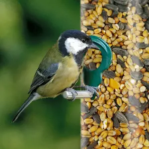 3kg SQUAWK All Seasons Wild Bird Food Mix - Year Round Quality Garden Feed