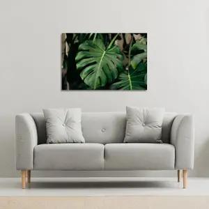 Monstera Leaves in home interior (Canvas Print) / 31 x 41 x 4cm