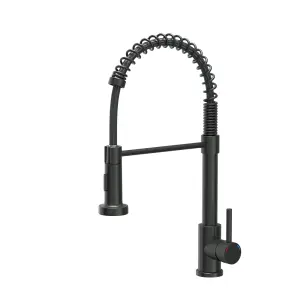 Quadron Salma Black coil kitchen tap with spray function