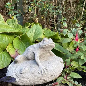 Frog On Rock Small Garden Ornament