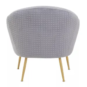 Interiors by Premier Grey Occasional Chair, Luxury Grey Velvet Occasional Chair, Comfortably Fashionable Grey and Gold Chair