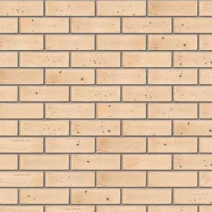 Ibstock Sandringham Brick 65mm Mini Pack 250