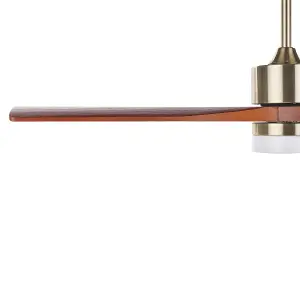 Ceiling Fan with Light Brass ARUWIMI