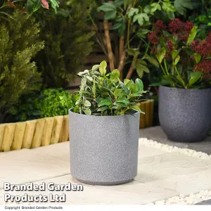 Small Grey Cylinder Stone Effect Planter Outdoor Garden Plastic 26cm (x1)