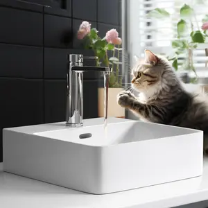 EMKE 59.5mm L x 43.5mm W Natural Ceramic Rectangular Sink