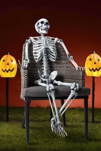 Halloween Poseable Skeleton Decoration 165cm