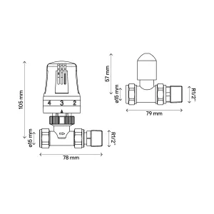 Flomasta Polished Straight Thermostatic Radiator valve & lockshield (Dia)15mm x ½"