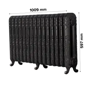 Arroll Daisy Cast iron Pewter 15 Column Radiator, (W)1009mm x (H)597mm