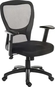 Mistral 2 Mesh Executive Chair with gas lift and height adjustable armrests