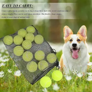 MantraRaj Tennis Balls With Mesh Carrying Bag Ideal for Sports Play, Practice, Pet Play, Dog Training, Throwing Machine (48)