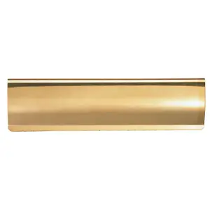 Interior Letterbox Plate Tidy Cover Flap 280 x 62mm Polished Brass