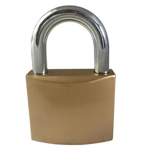 Ever Strong Iron Padlock (W)48mm