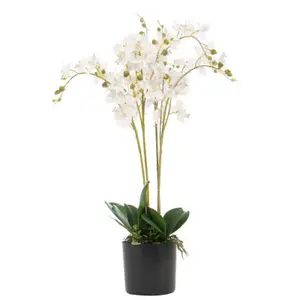 60cm Leaf Design UK Realistic Artificial Orchid Flower Display in Pot