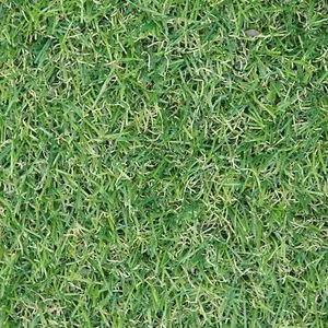 Fern 20mm Soft Outdoor Artificial Grass, Value For Money, Pet-Friendly Artificial Grass-17m(55'9") X 4m(13'1")-68m²