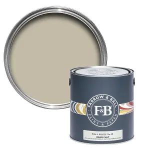 Farrow & Ball Dead Flat Mixed Colour 58 Wall White 2.5 Litre