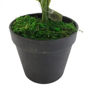 50cm Luxury Artificial Evergreen Fern Plant