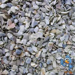 5kg BusyBeaks Hen Sized Oyster Shell - Premium Grade High In Calcium Poultry Grit