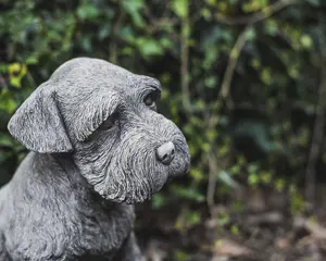 Large Schnauzer Stone Dog garden ornament