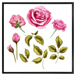 Roses & leaves (Picutre Frame) / 30x30" / Grey