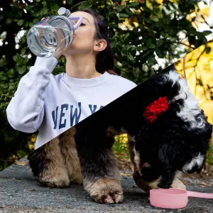 Tritan Water Bottle with Dog Bowl Pink 1.5 Litre