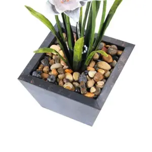 Primrose Narcissi Garden Flower Steel Water Feature with Lights Outdoor H100cm