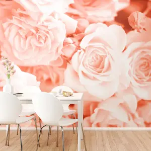 Origin Murals Peach Petals Matt Smooth Paste the Wall Mural 300cm wide x 240cm high