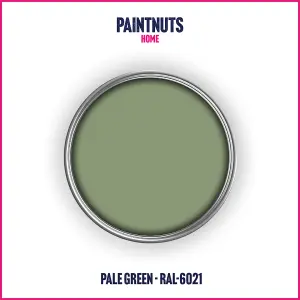 PaintNuts UPVC Door & Window Satin Paint - Pale Green - 400ml Spray Can (RAL6021)