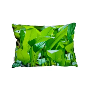 Green Leaf Background Abstract Of Nature (Outdoor Cushion) / 30cm x 45cm