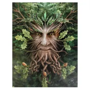 Anne Stokes Oak King Canvas Multicoloured (Small)