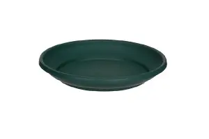 20cm Plant Pot Saucer Small Venetian Green Colour Plastic Plant Saucer Dish