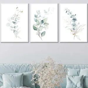 Set of 3 Green Blue Watercolour Eucalyptus Set 2 Wall Art Prints / 50x70cm / White Frame