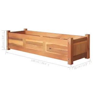 Berkfield Garden Raised Beds 2 pcs Acacia Wood 100x30x25 cm