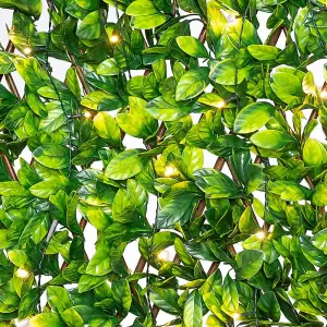 Primrose Extendable Artificial Laurel Leaf Screening Fencing  Trellis with LEDs W200cm x H100cm