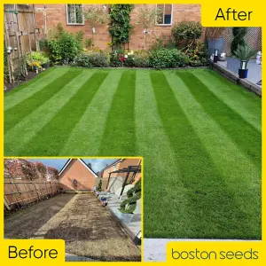 Boston Seeds BS Premier Lawn Grass Seed (1 x 10kg)