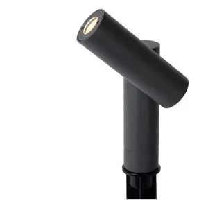 Lucide Tatum Modern Spike Garden Spotlight Outdoor - LED - 1x4,5W 3000K - IP65 - Anthracite